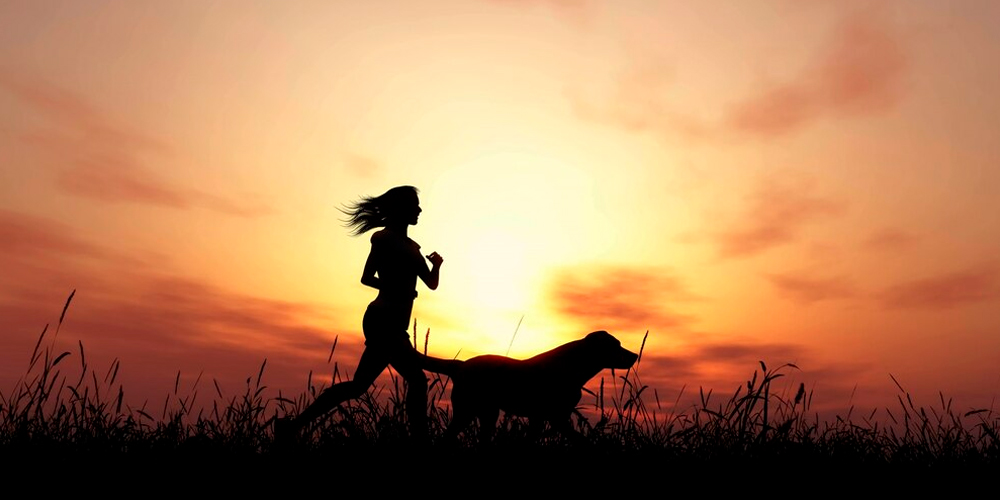 RaisingAdultsServices2